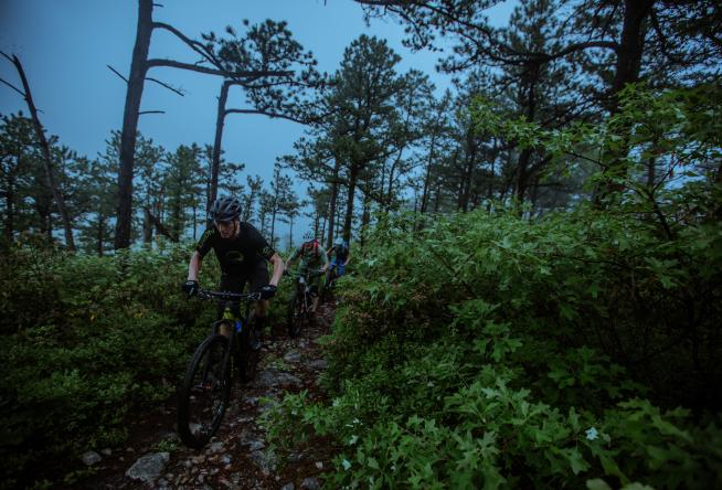 Jefferson forest mountain biking new arrivals