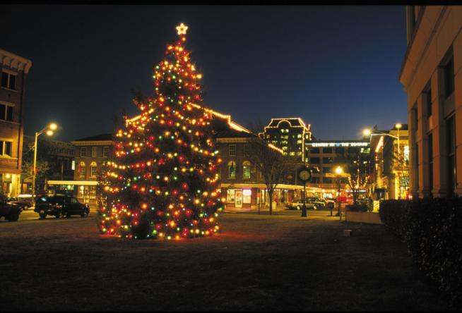 Roanoke City Christmas Parade 2021