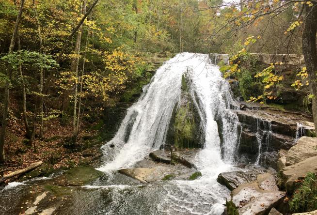 Roanoke downtown food and cultural tour from $63 10 Stunning Photos of Fall Colors in Virginia's Blue Ridge Mountains