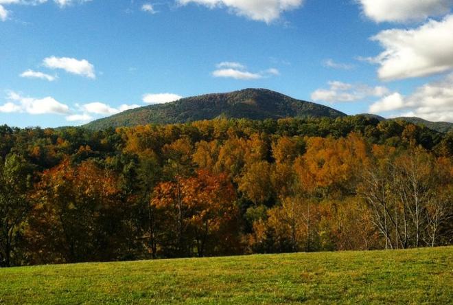 Bent Mountain Fall - Fall Photo