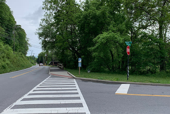 Road to greenway intersection with crosswalk and stop sign