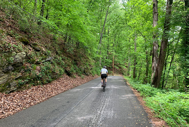 male cyclist on a road bike surrounded by green trees and natural stone out cropping