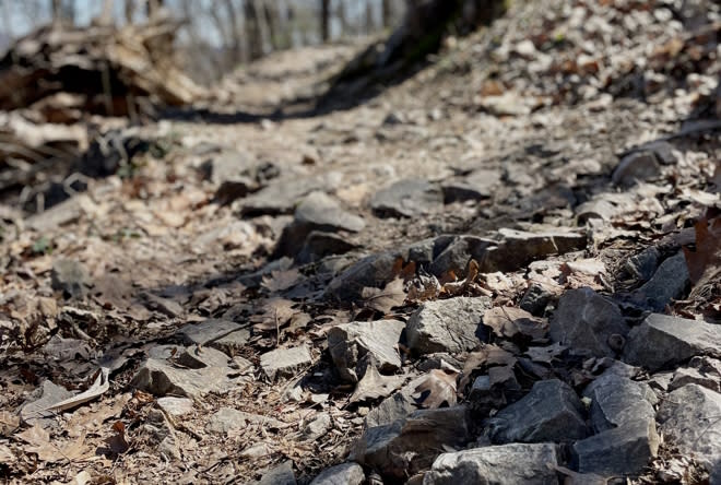 A rocky section of the Monument trail on Mill Mountain