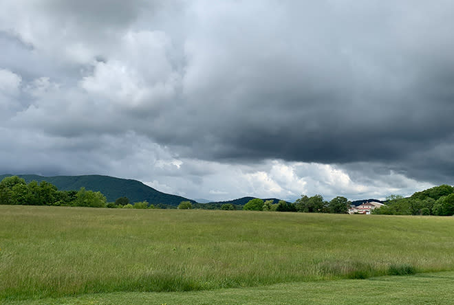 View of Roanoke Mountain through a hay filed