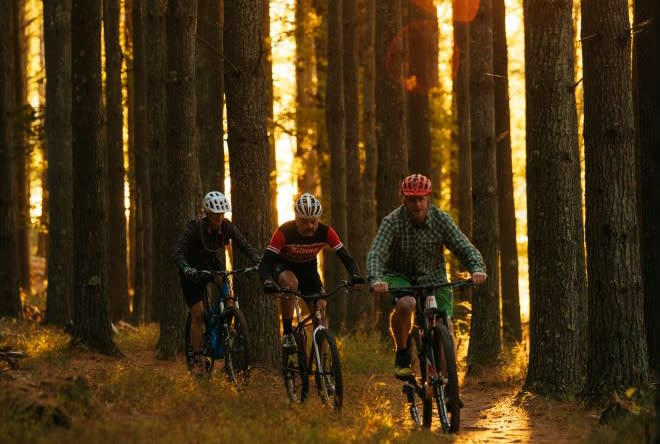 Enchanted Forest at Carvins Cove