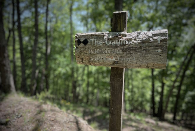 The top of the Gauntlet trail at Carvins Cove outside Roanoke, Virginia