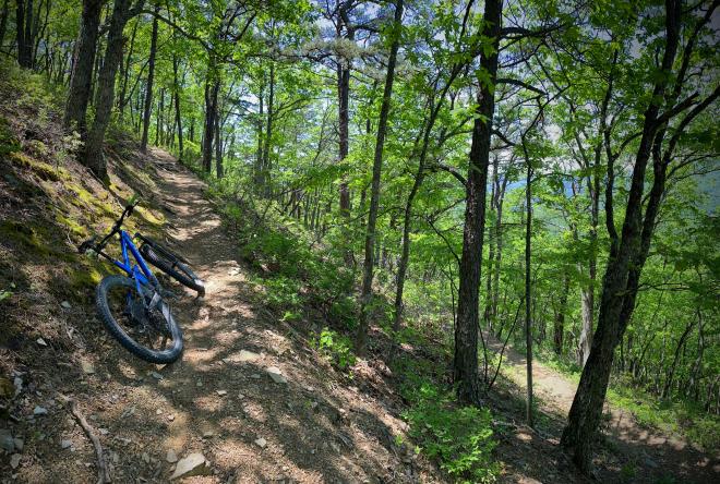 The climb of Hi De Ho trail at Carvins Cove outside Roanoke, Virginia