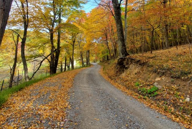 Gravel road on the Explore Park gravel ride