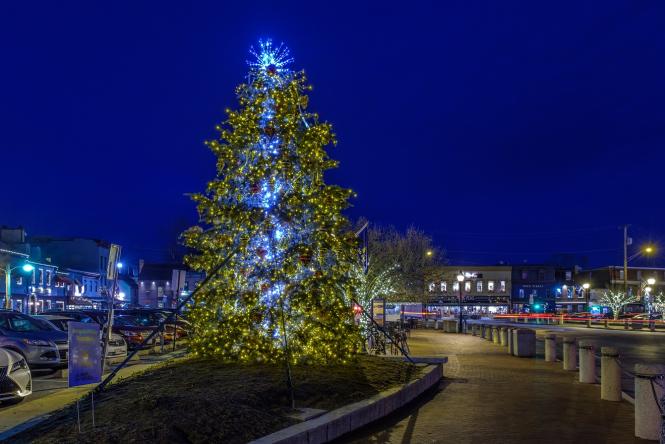 Christmas Tree Night Photo