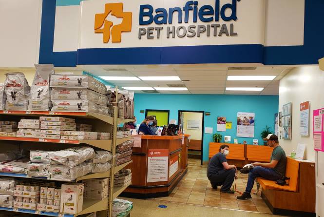 Banfield Pet hospital