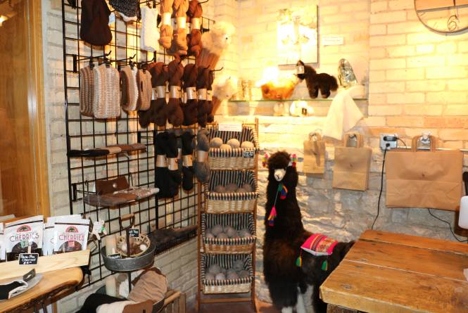 Crystal Lake Alpaca Boutique