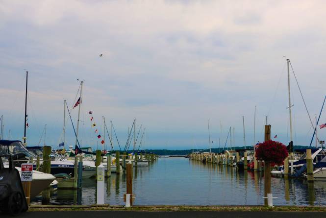 Elmwood Township Marina