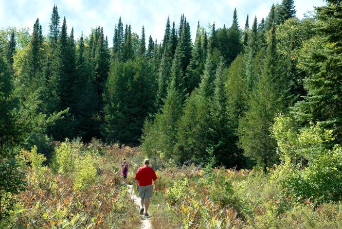 Nipissing & Trillium Ridge Trails