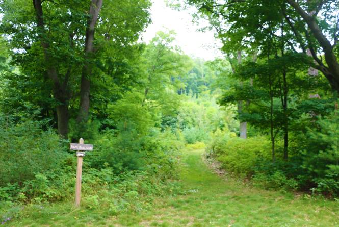 krumwiede Forest Preserve