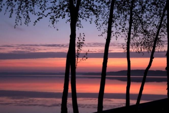 Maple Bay