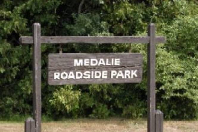 Medalie Park