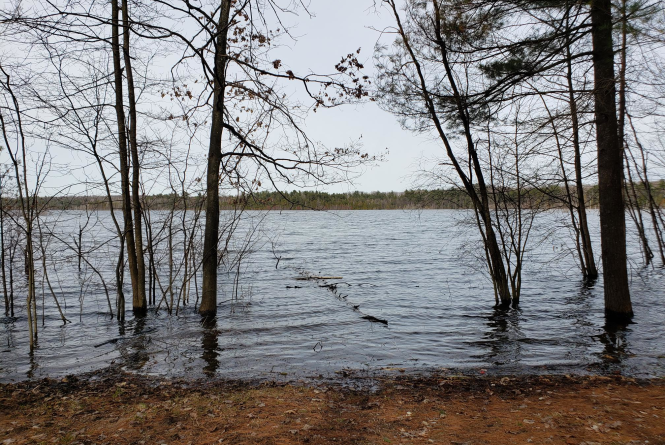 Pearl Lake Natural Area