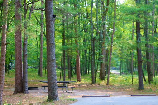 Platte River Campground