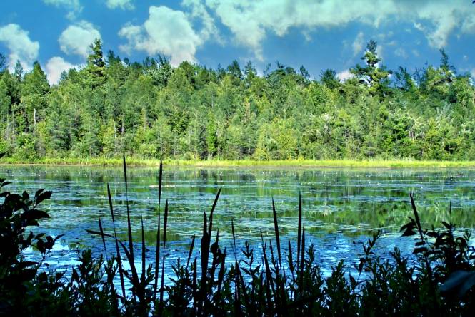 Pyatt Lake Nature Preserve