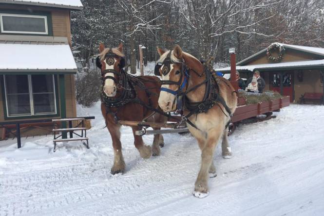 Come book a hay or sleigh ride with us this coming Fall/Winter!