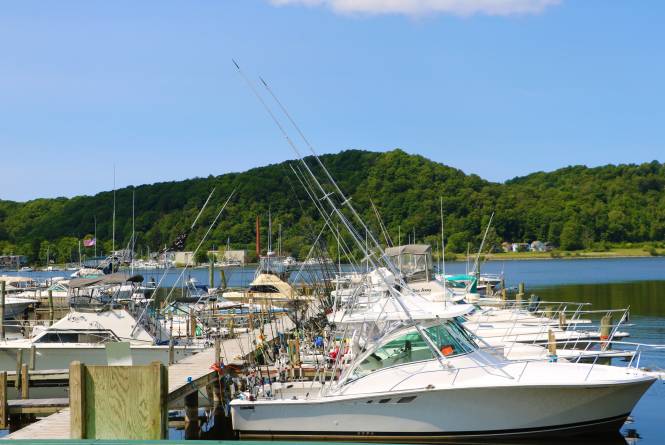 Sea Joy Charter Fishing
