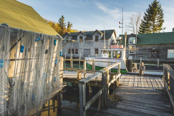 Fish Town