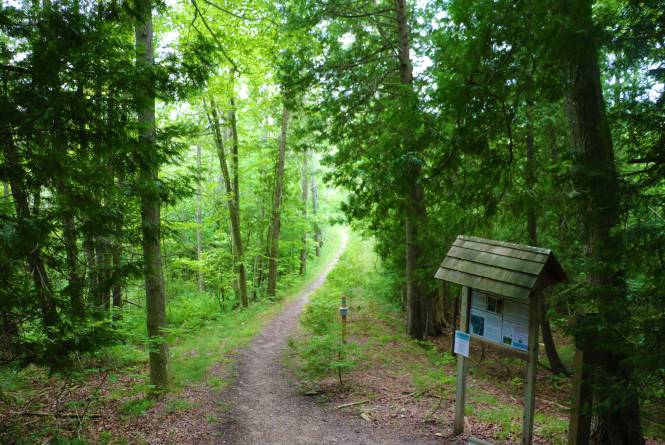 Teichner Preserve