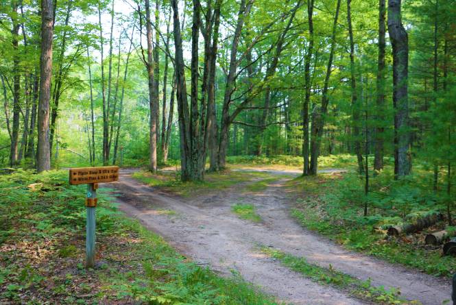 White Pine Backcountry Campground