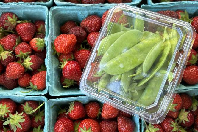 Fruit and Vegetables