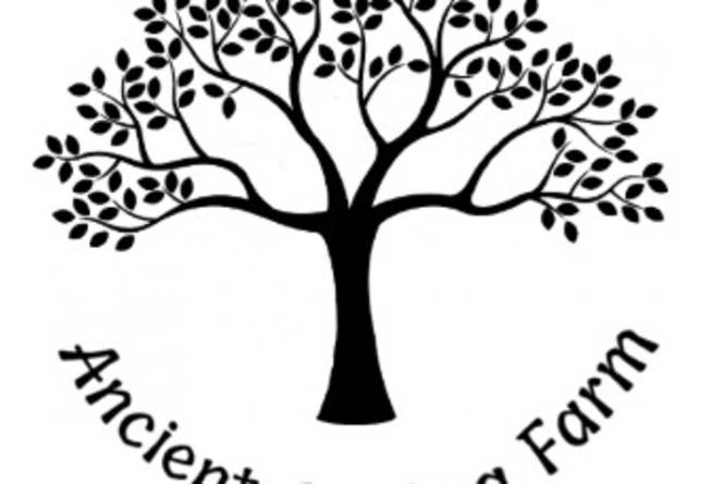 Ancient Spring Farm