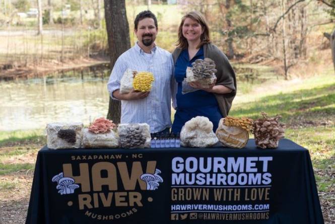 Haw River Mushroom