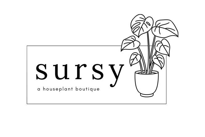Sursy