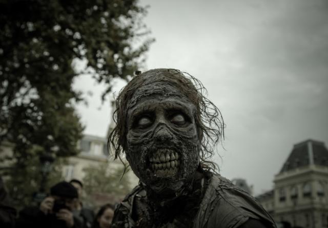 Image result for zombie