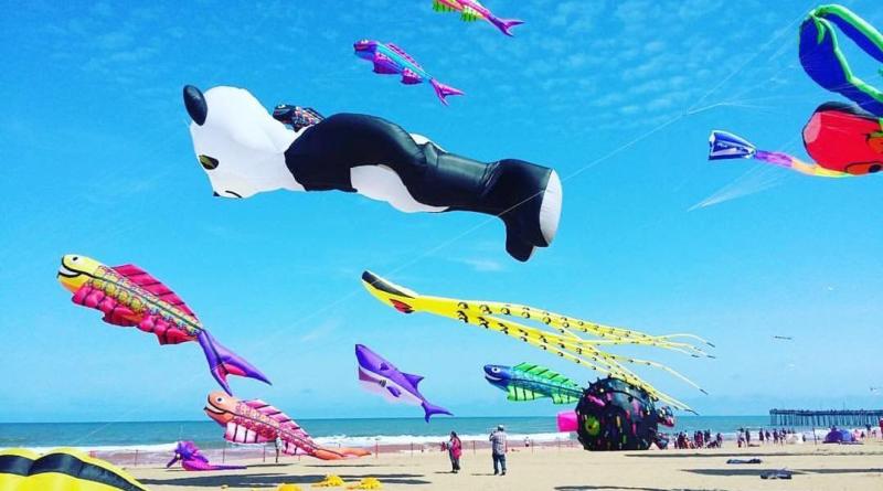 beach view kite festival featuring a panda kite, fish kites, and colorful kites