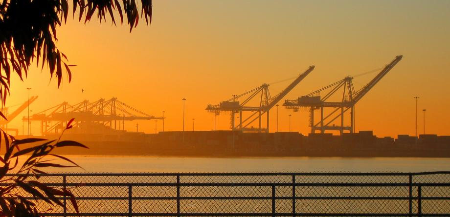 Sunset cranes