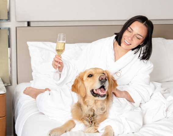 Cherry Creek North's dog-friendly hotels in Denver, Colorado