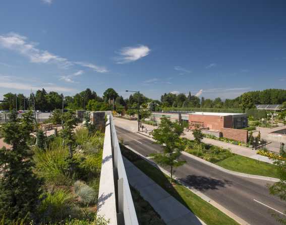 Mordecai Children’s Garden at Denver Botanic Gardens