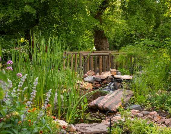 A wooden bridge at Denver Botanic Gardens Chatfield Farms