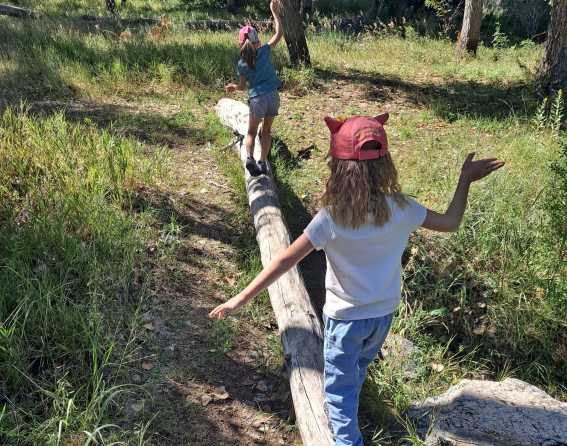 Two children balance on a log at Bluff Lake Nature Center in Denver, Colorado.