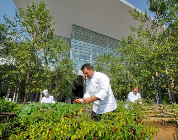 Colorado Convention Center Blue Bear Farm
