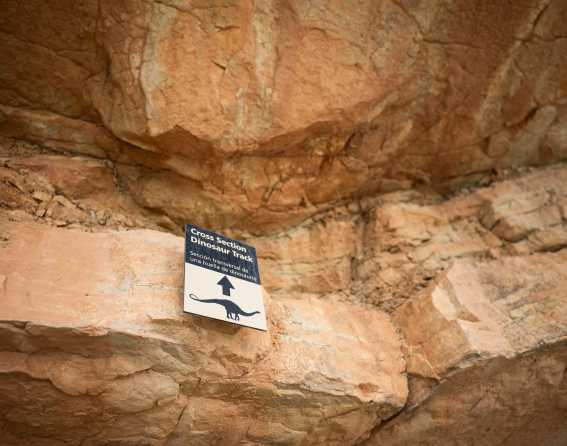 A sign on a cliff points to a dinosaur track at Dinosaur Ridge near Denver, Colorado.