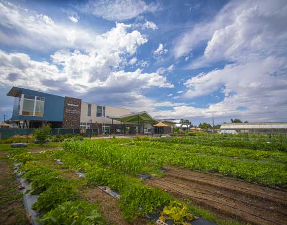 Wide view of the gardens at Dahlia Campus for Health & Well-Being