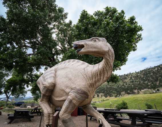 A dinosaur statue at the entrance of Dinosaur Ridge in Denver, Colorado.