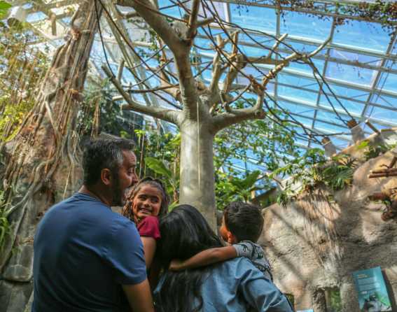 Denver Zoo