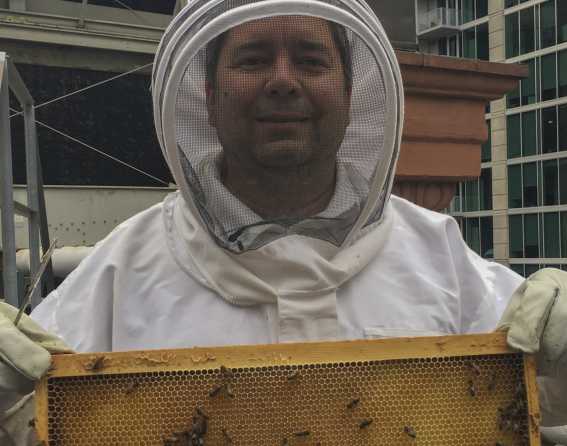 Beekeeper Ed Moore wearing a bee suit at The Brown Palace in Denver, Colorado.
