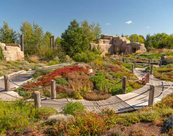 Denver Botanic Gardens in Denver, Colorado