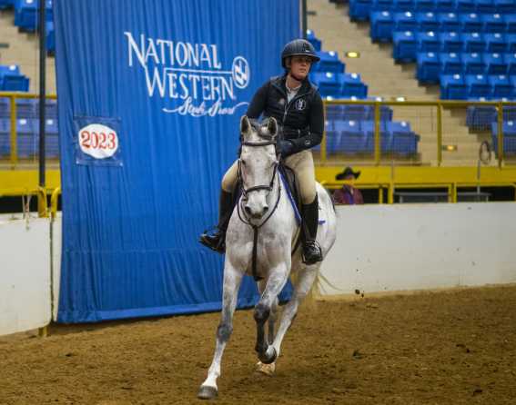 National Western Stock Show & Rodeo in Denver, Colorado