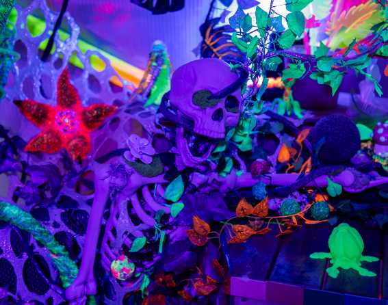 Spectra Art Space's Spookadelia exhibition for Halloween