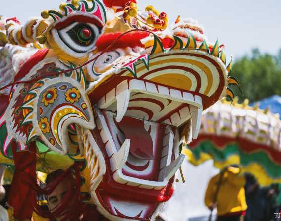 Dragon Boat Festival in Denver, Colorado