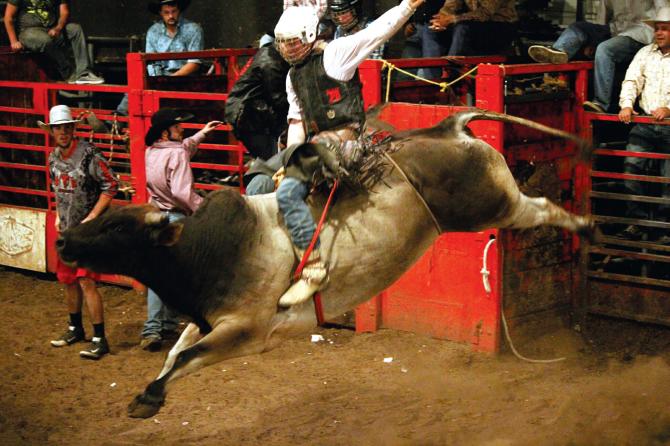 A cowboy rides a bull at Club Rodeo in Wichita
